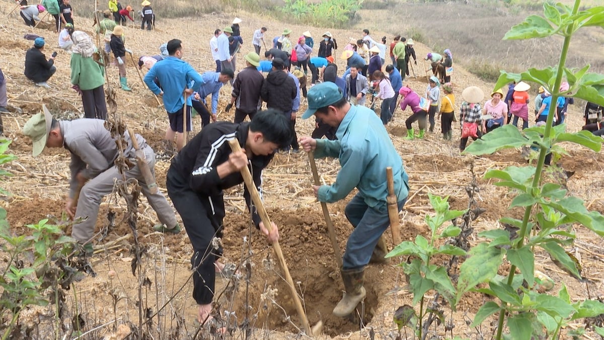 Mô hình góp phần thực hiện tái cơ cấu ngành nông nghiệp, hướng tới phát triển nông nghiệp bền vững. Ảnh: Trần Hương.