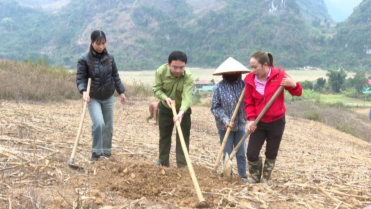 Mô hình phát huy vai trò kinh tế tập thể dưới hình thức đổi công trong tái cơ cấu ngành nông nghiệp. Ảnh: Trần Hương.