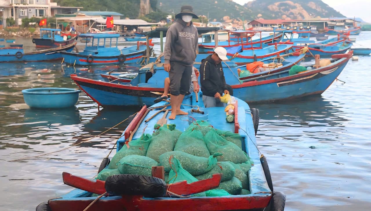 Hy vọng thời gian tới sẽ còn nhiều mô hình lan tỏa bảo vệ môi trường trong nuôi trồng thủy sản. Ảnh: KS. Hy vọng thời gian tới sẽ còn nhiều mô hình lan tỏa bảo vệ môi trường trong nuôi trồng thủy sản. Ảnh: KS.