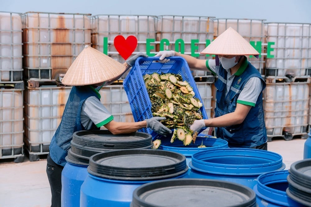 Vỏ dứa được sơ chế, làm sạch rồi tiến hành ngâm ủ. Ảnh: Thu Thủy.