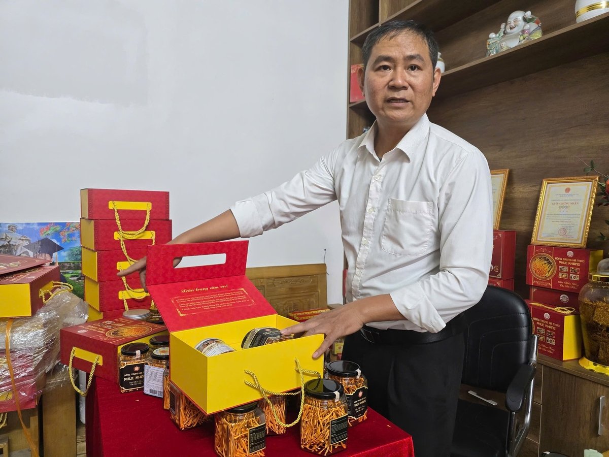 Sản phẩm OCOP Đông trùng hạ thảo của huyện An Dương có giá trị kinh tế cao trên thị trường. Ảnh: Đinh Mười. Sản phẩm OCOP Đông trùng hạ thảo của huyện An Dương có giá trị kinh tế cao trên thị trường. Ảnh: Đinh Mười.