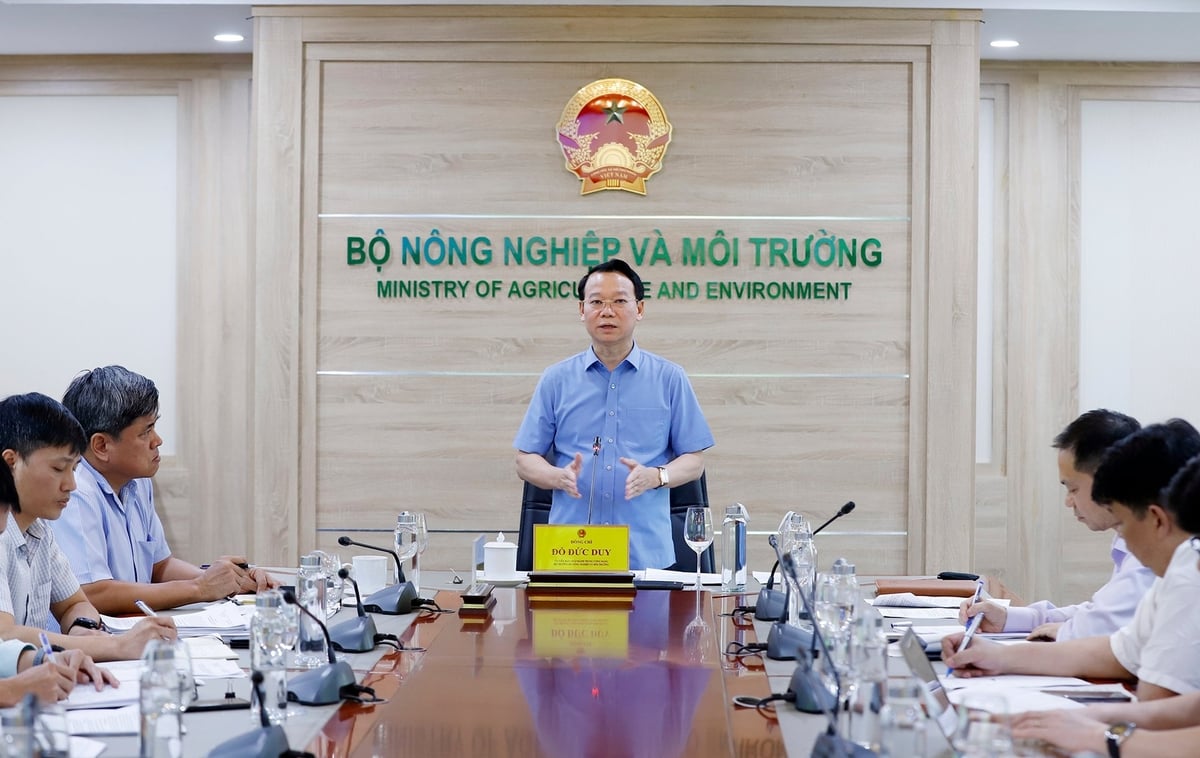 Bộ trưởng Đỗ Đức Duy chủ trì cuộc họp với các cơ quan chuyên môn của Bộ Nông nghiệp và Môi trường nhằm xây dựng và triển khai các Chương trình mục tiêu quốc gia (MTQG) đòi hỏi tư duy đổi mới, tích hợp và hướng tới phát triển bền vững. Ảnh: Khương Trung. Bộ trưởng Đỗ Đức Duy chủ trì cuộc họp với các cơ quan chuyên môn của Bộ Nông nghiệp và Môi trường nhằm xây dựng và triển khai các Chương trình mục tiêu quốc gia (MTQG) đòi hỏi tư duy đổi mới, tích hợp và hướng tới phát triển bền vững. Ảnh: Khương Trung.
