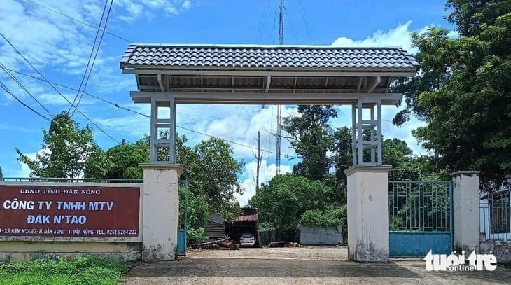 Lãnh đạo, cán bộ công ty lâm nghiệp bị đánh trọng thương - Ảnh: Ngọc Dũng. Lãnh đạo, cán bộ công ty lâm nghiệp bị đánh trọng thương - Ảnh: Ngọc Dũng.