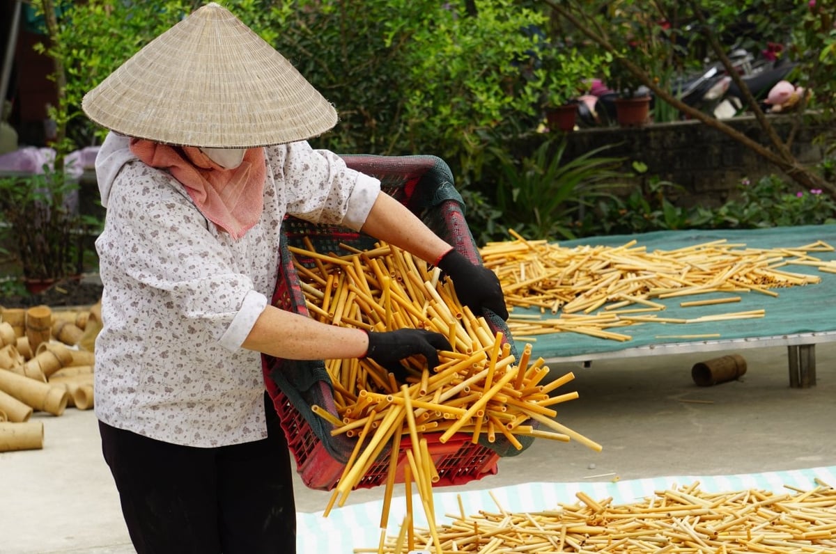 Sản phẩm ống hút tre được phơi, sấy để chống mối mọt. Ảnh: QT. Sản phẩm ống hút tre được phơi, sấy để chống mối mọt. Ảnh: QT.