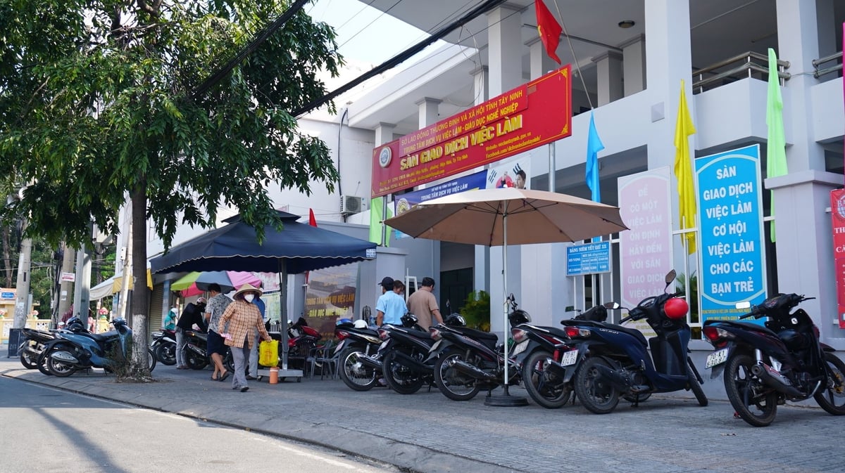 Trung tâm Dịch vụ việc làm tỉnh Tây Ninh, 'bà mối mát tay' người lao động ngành nông nghiệp. Ảnh: Trần Trung.