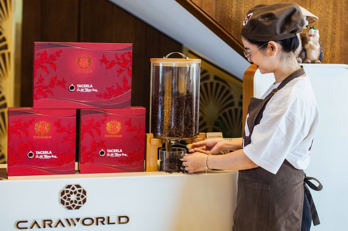 Những hạt cà phê Arabica và Robusta có hương vị đặc trưng, đậm đà. Ảnh: KN Holdings.