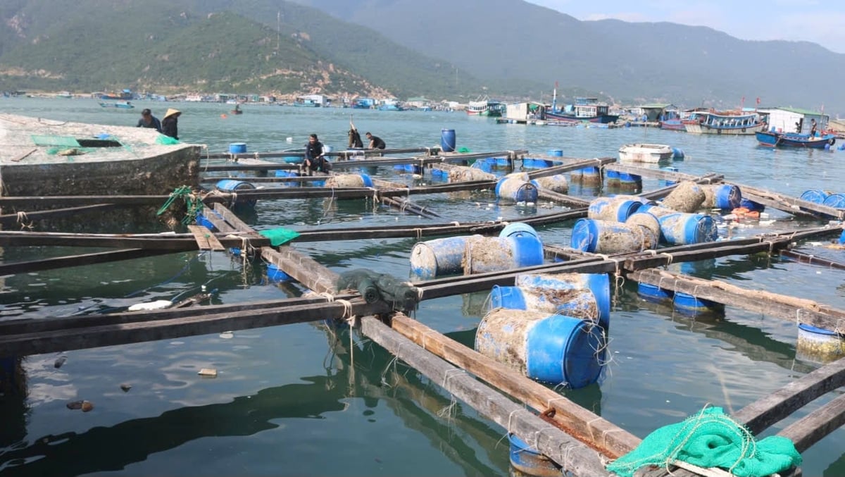 Cơn bão số 9 vào năm 2021 gây thiệt hại nặng nề lồng bè nuôi trồng thủy sản ở xã Cam Bình, TP Cam Ranh (Khánh Hòa). Ảnh: KS. Cơn bão số 9 vào năm 2021 gây thiệt hại nặng nề lồng bè nuôi trồng thủy sản ở xã Cam Bình, TP Cam Ranh (Khánh Hòa). Ảnh: KS.