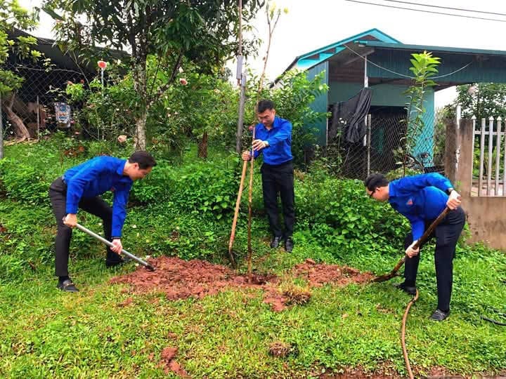 Lãnh đạo Tỉnh đoàn phát động phong trào trồng cây 'Đời đời nhớ ơn Bác Hồ'. Ảnh: Tỉnh đoàn Điện Biên.