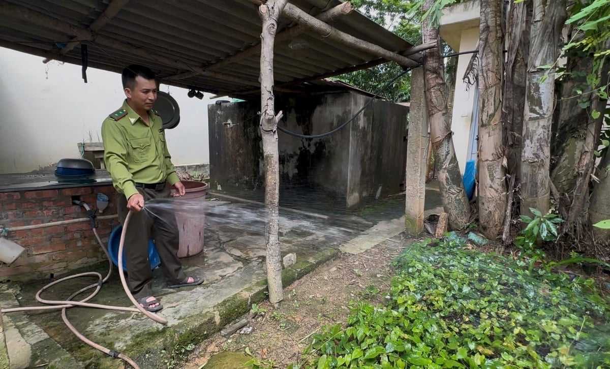 Anh Sơn vừa đi tuần, kiêm nghiệm thêm cả quản lý khu vườn ươm. Ảnh: Đức Bình.