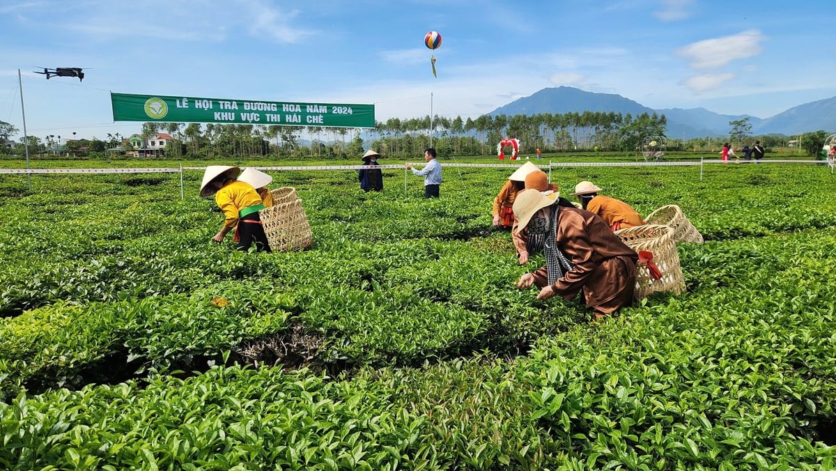 Người tiêu dùng có thể mua sản phẩm chè Ngọc Thúy, chè Hương Bắc Sơn (huyện Hải Hà) trên sàn thương mại điện tử. Ảnh: Nguyễn Thành. 