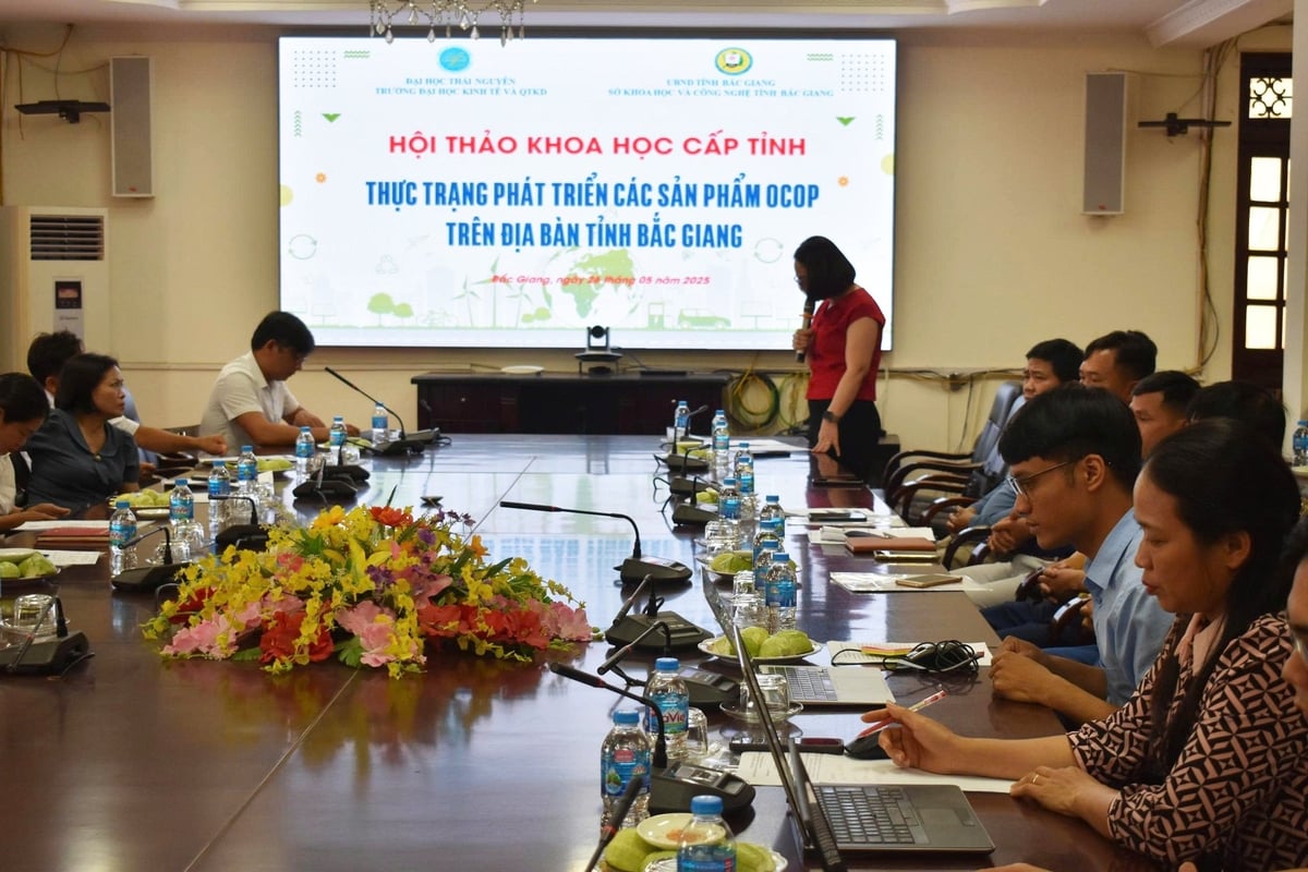 Các đại biểu tham luận đánh giá thực trạng, phân tích nhân tố ảnh hưởng đến OCOP. Ảnh: Phương Thảo. Các đại biểu tham luận đánh giá thực trạng, phân tích nhân tố ảnh hưởng đến OCOP. Ảnh: Phương Thảo.