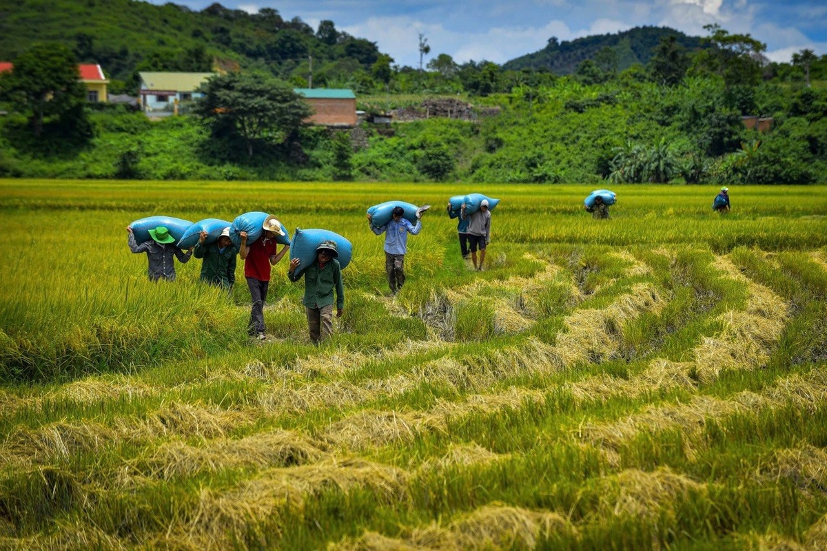 Người dân xã Buôn Choáh, huyện Krông Nô, Đắk Nông sẽ đồng hành, hỗ trợ nhau cùng làm, cùng thụ hưởng ấm no, cùng xây dựng buôn làng phát triển bền vững. Ảnh: TH. Người dân xã Buôn Choáh, huyện Krông Nô, Đắk Nông sẽ đồng hành, hỗ trợ nhau cùng làm, cùng thụ hưởng ấm no, cùng xây dựng buôn làng phát triển bền vững. Ảnh: TH.