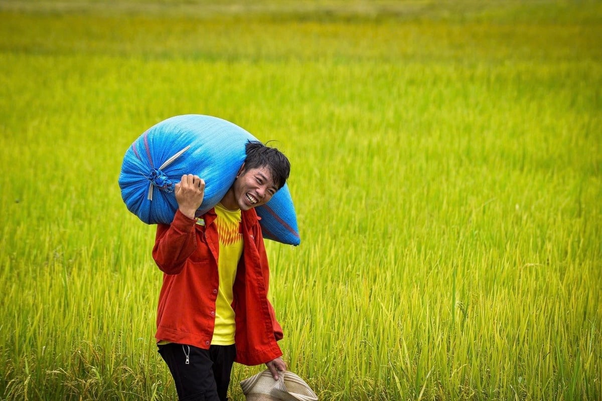Anh Luân Văn Dũng, xã Buôn Choáh, huyện Krông Nô, Đắk Nông và nụ cười hạnh phúc ngày mùa. Ảnh: VH. Anh Luân Văn Dũng, xã Buôn Choáh, huyện Krông Nô, Đắk Nông và nụ cười hạnh phúc ngày mùa. Ảnh: VH.
