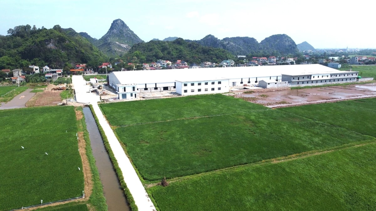 Kênh Sông Xã đoạn qua nhà máy của Công ty Lộc Phát đã bị lấp. Ảnh: Thanh Tâm