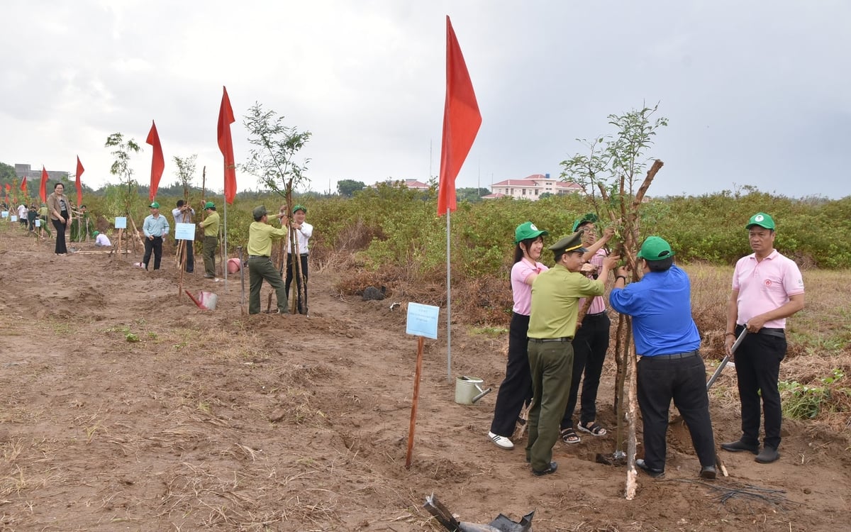 Bến Tre đẩy nhanh tiến độ hoàn thành Đề án trồng 10 triệu cây xanh. Ảnh: Thanh Bạch.
