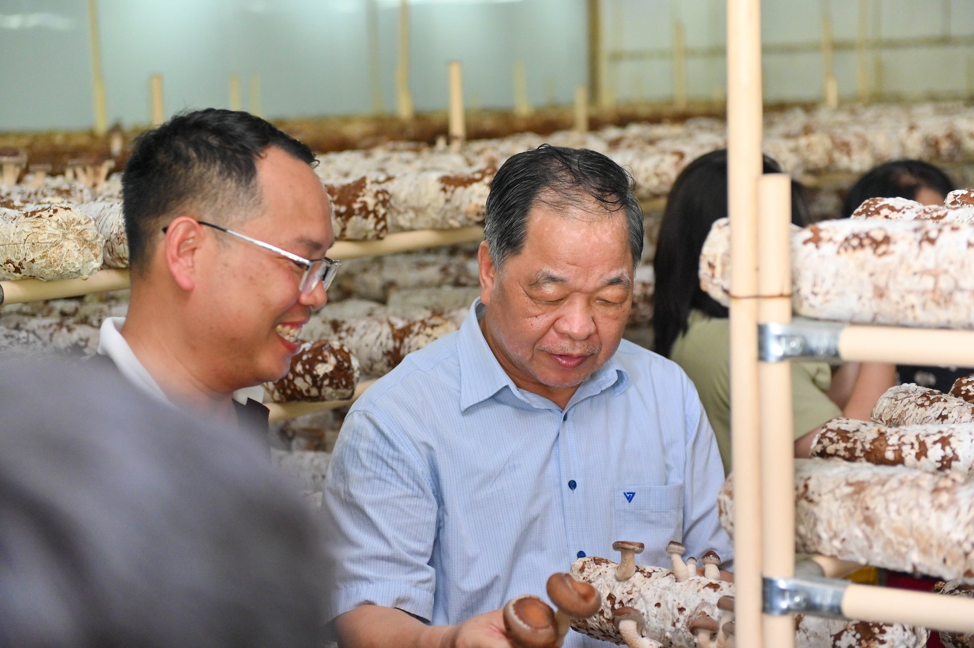 Ông Hà Phúc Mịch - Chủ tịch Hiệp hội Nông nghiệp hữu cơ Việt Nam (phải) thăm khu trồng nấm của Công ty cổ phần Nấm Tốt Nameco. Ảnh: Hồng Thắm. 