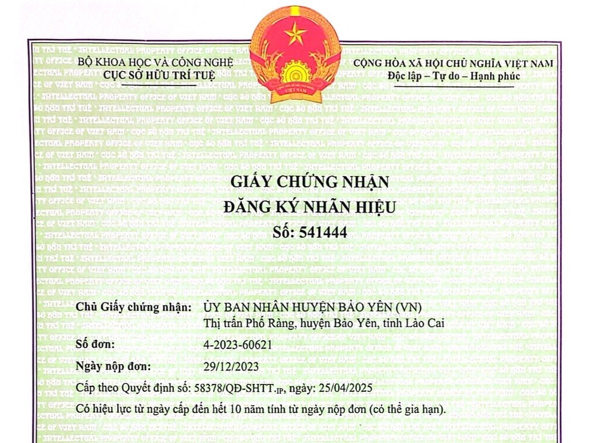 Giấy chứng nhận đăng ký nhãn hiệu 'Chuối ngự Hồng Cam'. Ảnh: H.Đ. Giấy chứng nhận đăng ký nhãn hiệu 'Chuối ngự Hồng Cam'. Ảnh: H.Đ.