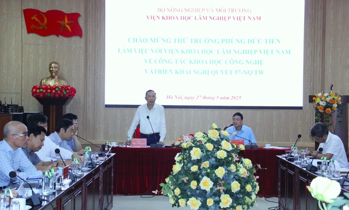 Viện Khoa học lâm nghiệp Việt Nam là tổ chức nghiên cứu đầu ngành trong lĩnh vực lâm nghiệp tại Việt Nam. Ảnh: Trung Quân. Viện Khoa học lâm nghiệp Việt Nam là tổ chức nghiên cứu đầu ngành trong lĩnh vực lâm nghiệp tại Việt Nam. Ảnh: Trung Quân.