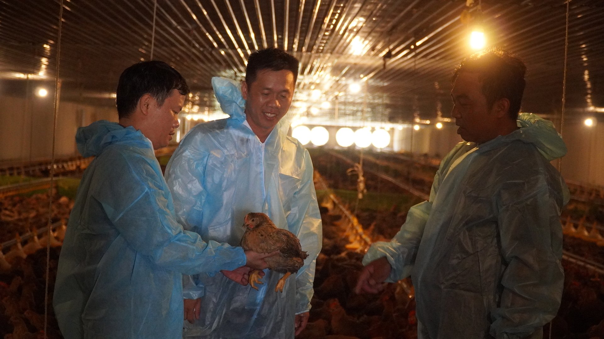 Ông Nguyễn Bá Trung (giữa), Phó Trưởng Trạm Chăn nuôi và Thú y huyện Phú Giáo chia sẻ kinh nghiệm phòng dịch tại các trại chăn nuôi. Ảnh: Trần Phi. Ông Nguyễn Bá Trung (giữa), Phó Trưởng Trạm Chăn nuôi và Thú y huyện Phú Giáo chia sẻ kinh nghiệm phòng dịch tại các trại chăn nuôi. Ảnh: Trần Phi.