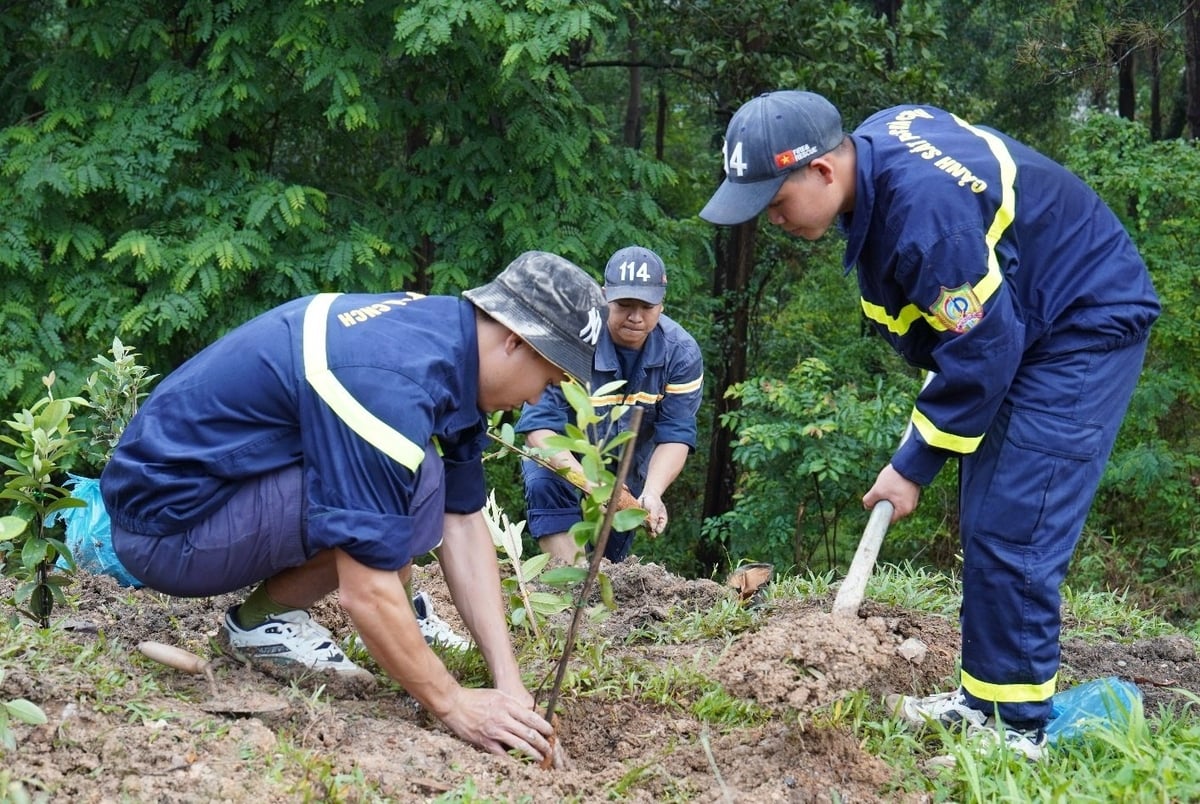 Trồng cây xanh tại khu di tích lịch sử Trung tâm đề kháng Him Lam nhằm bảo vệ môi trường, xây dựng cảnh quan xanh sạch. Ảnh: Văn Hiển.