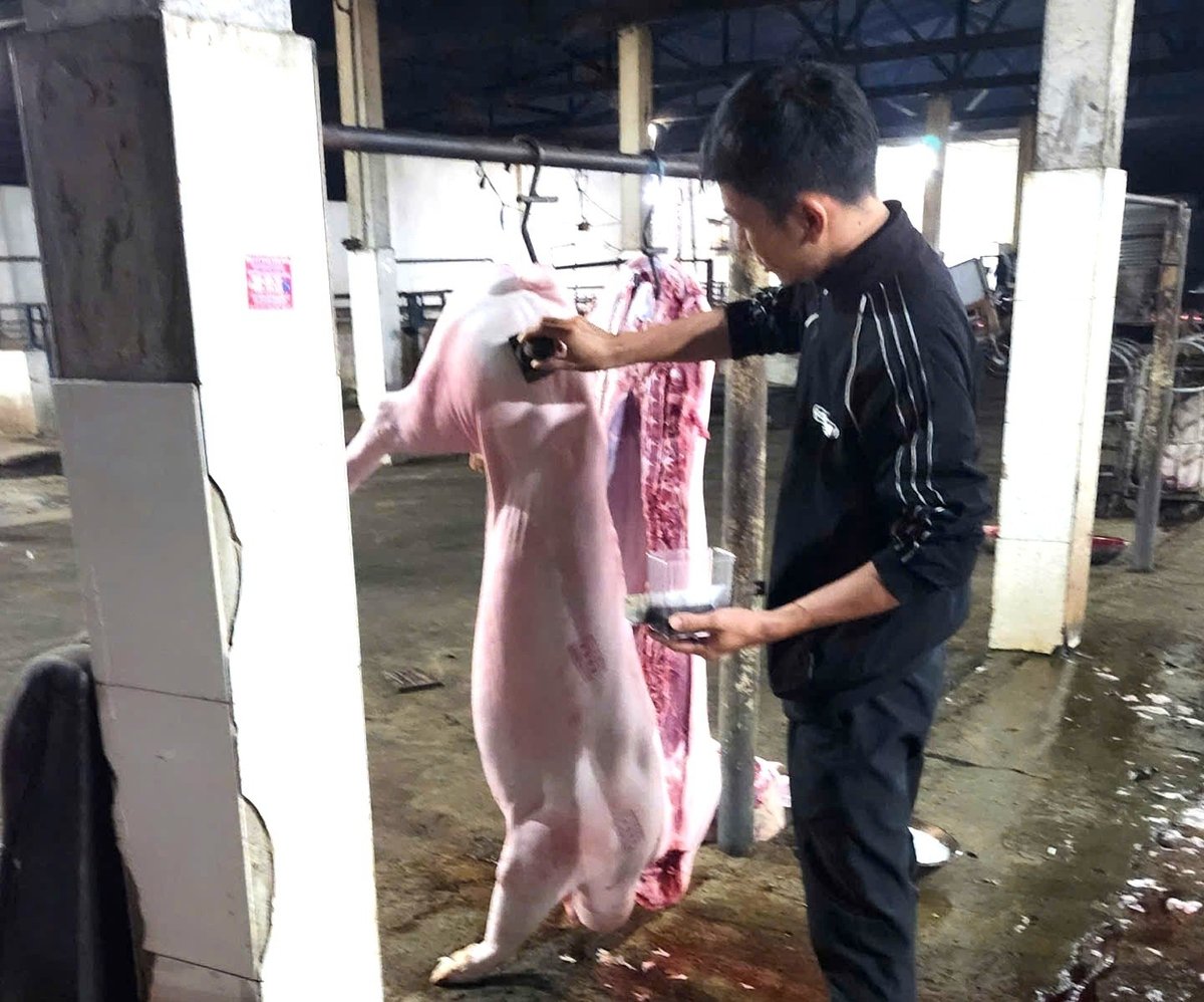 Hiện nay trên địa bàn tỉnh Gia Lai đang rất thiếu cơ sở giết mổ gia súc, gia cầm tập trung. Ảnh: Đăng Lâm. Hiện nay trên địa bàn tỉnh Gia Lai đang rất thiếu cơ sở giết mổ gia súc, gia cầm tập trung. Ảnh: Đăng Lâm.