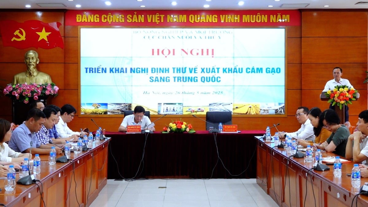 Cục Chăn nuôi và Thú y (Bộ Nông nghiệp và Môi trường) vừa tổ chức Hội nghị triển khai Nghị định thư về xuất khẩu cám gạo sang Trung Quốc. Ảnh: Thanh Thủy.