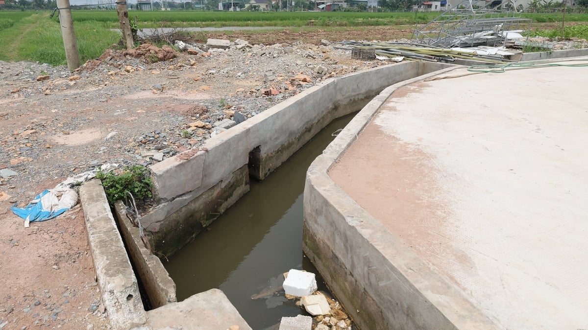 Kênh Sông Xã hiện chỉ còn chiều rộng 1m. Ảnh: Thanh Tâm