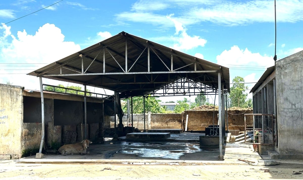 Cơ sở giết mổ gia súc tập trung huyện Krông Pa (Gia lai) mới chỉ phát huy được 30% công suất thiết kế. Ảnh: ĐL. Cơ sở giết mổ gia súc tập trung huyện Krông Pa (Gia lai) mới chỉ phát huy được 30% công suất thiết kế. Ảnh: ĐL.