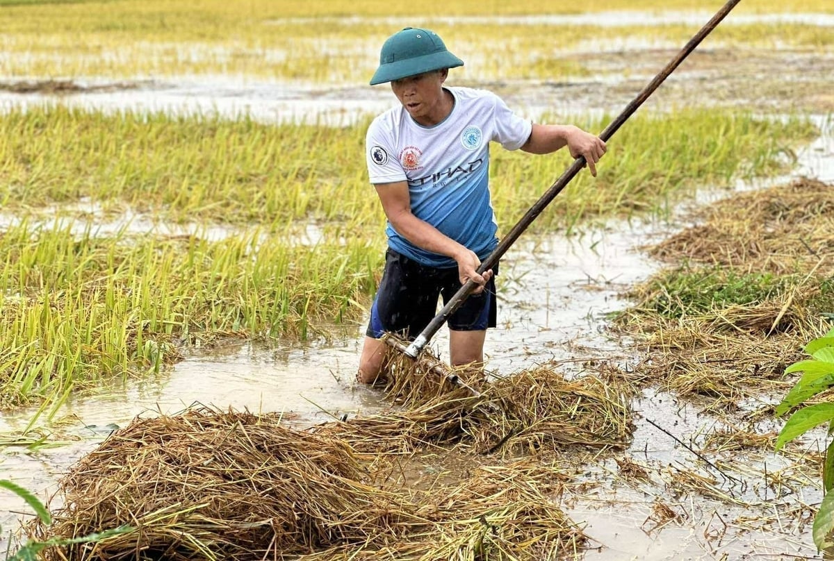 Mưa lũ bất thường gây thiệt hại cho bà con nông dân tỉnh Hà Tĩnh. Ảnh: Thanh Nga.