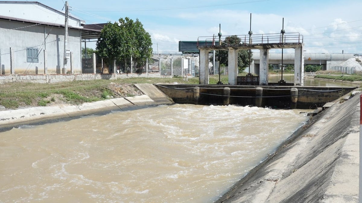 Công ty Thủy nông Ninh Thuận đang mở nước để người dân sản xuất vụ hè thu. Ảnh: Phương Chi. Công ty Thủy nông Ninh Thuận đang mở nước để người dân sản xuất vụ hè thu. Ảnh: Phương Chi.