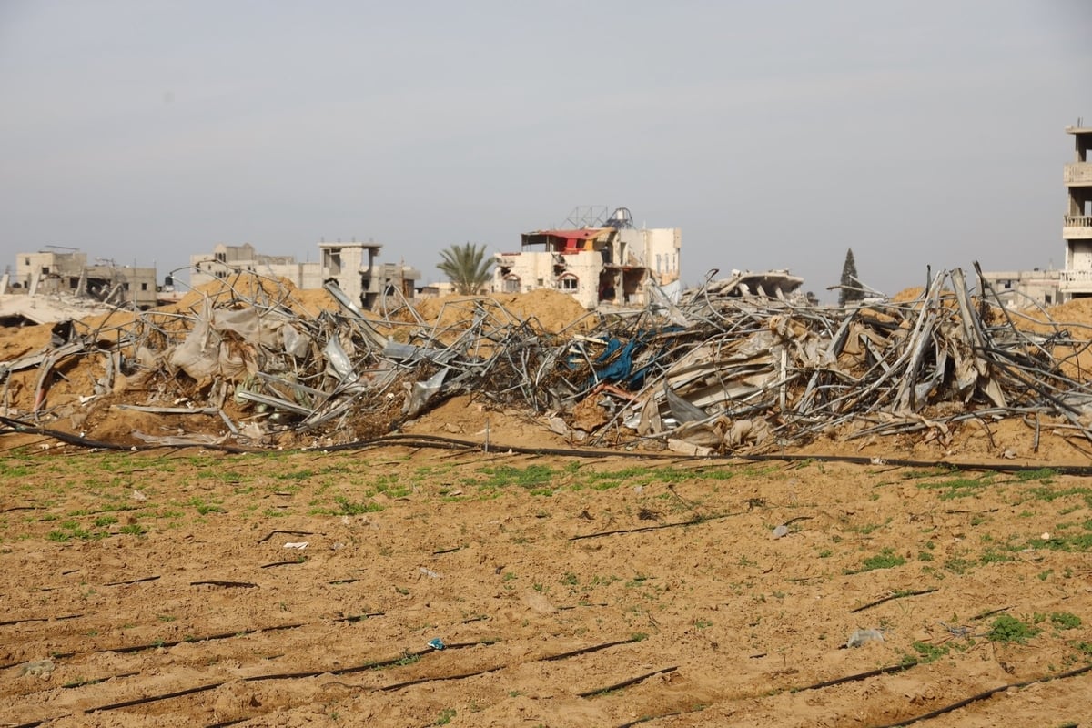 Before the start of the conflict, agriculture accounted for approximately 10 percent of Gaza’s economy.