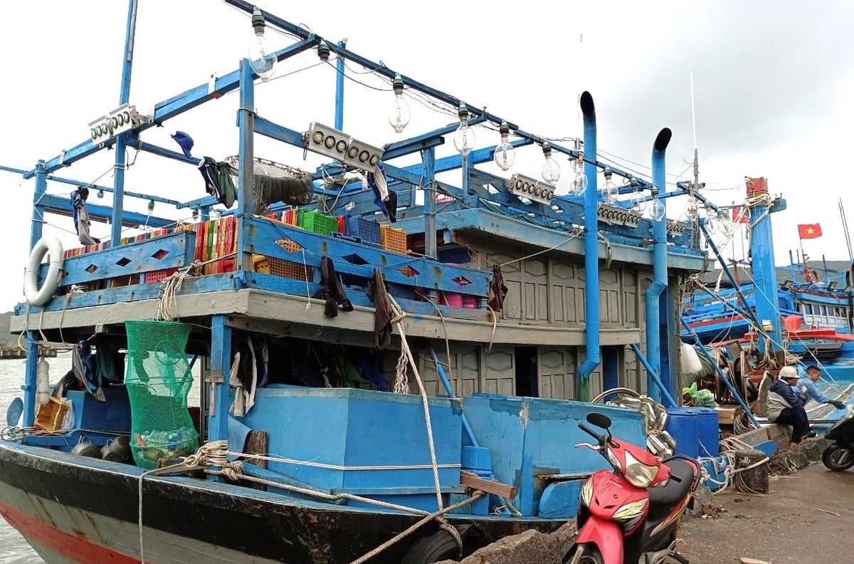 Hàng trăm tàu cá đánh bắt xa bờ của như dân Bình Định đã tuân thủ việc trang bị túi đựng rác để thu gom rác thải trong những chuyến biển. Ảnh: V.Đ.T. Hàng trăm tàu cá đánh bắt xa bờ của như dân Bình Định đã tuân thủ việc trang bị túi đựng rác để thu gom rác thải trong những chuyến biển. Ảnh: V.Đ.T.