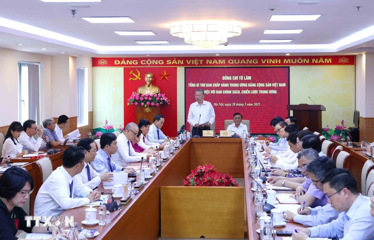 Quang cảnh buổi làm việc. Quang cảnh buổi làm việc.