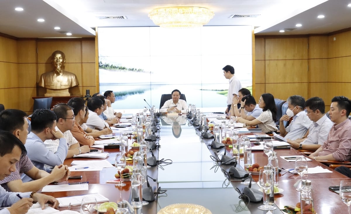 Ông Phạm Tân Tuyến, Vụ trưởng Vụ Tổ chức cán bộ cho biết, dự thảo Đề án hợp nhất 4 đơn vị cho thấy hiệu quả rõ rệt về tổ chức bộ máy. Ảnh: Nguyễn Thủy. Ông Phạm Tân Tuyến, Vụ trưởng Vụ Tổ chức cán bộ cho biết, dự thảo Đề án hợp nhất 4 đơn vị cho thấy hiệu quả rõ rệt về tổ chức bộ máy. Ảnh: Nguyễn Thủy.