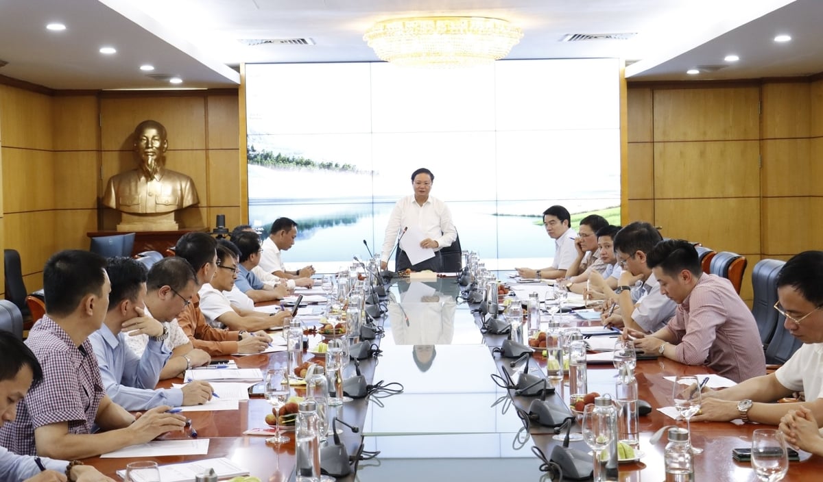Thứ trưởng Lê Minh Ngân chủ trì cuộc họp nghe Trung tâm Quy hoạch và Điều tra tài nguyên nước quốc gia cùng các Viện Quy hoạch thủy lợi, Viện Khoa học tài nguyên nước báo cáo Đề án hợp nhất tổ chức bộ máy theo Kế hoạch số 12-KH/ĐUB ngày 13/5/2025 của Đảng ủy Bộ. Ảnh: Nguyễn Thủy. Thứ trưởng Lê Minh Ngân chủ trì cuộc họp nghe Trung tâm Quy hoạch và Điều tra tài nguyên nước quốc gia cùng các Viện Quy hoạch thủy lợi, Viện Khoa học tài nguyên nước báo cáo Đề án hợp nhất tổ chức bộ máy theo Kế hoạch số 12-KH/ĐUB ngày 13/5/2025 của Đảng ủy Bộ. Ảnh: Nguyễn Thủy.