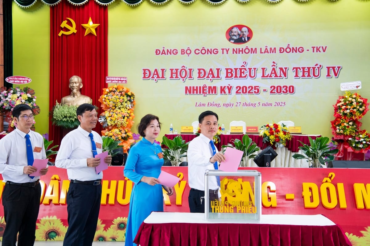 Các đại biểu bỏ phiếu, bầu ra Ban Chấp hành đảng bộ Công ty. Ảnh: Lâm Đồng. Các đại biểu bỏ phiếu, bầu ra Ban Chấp hành đảng bộ Công ty. Ảnh: Lâm Đồng.