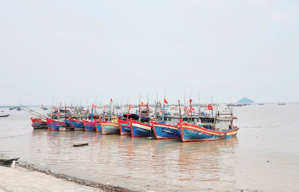 Các thủ tục hành chính được chuẩn hóa trong lĩnh vực thủy sản. Ảnh: Thu Thủy. Các thủ tục hành chính được chuẩn hóa trong lĩnh vực thủy sản. Ảnh: Thu Thủy.