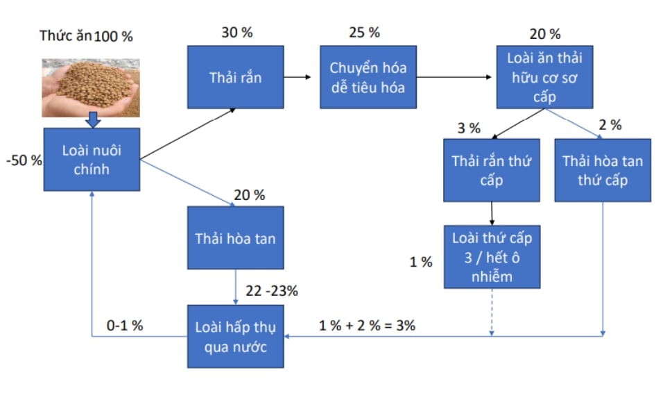 Nguyên lý của công nghệ RAS-IMTA. Ảnh: TS. Nguyễn Nhứt. Nguyên lý của công nghệ RAS-IMTA. Ảnh: TS. Nguyễn Nhứt.