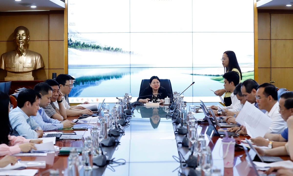Vụ Pháp chế báo cáo tại cuộc họp, sáng 28/5. Ảnh: Khương Trung. Vụ Pháp chế báo cáo tại cuộc họp, sáng 28/5. Ảnh: Khương Trung.