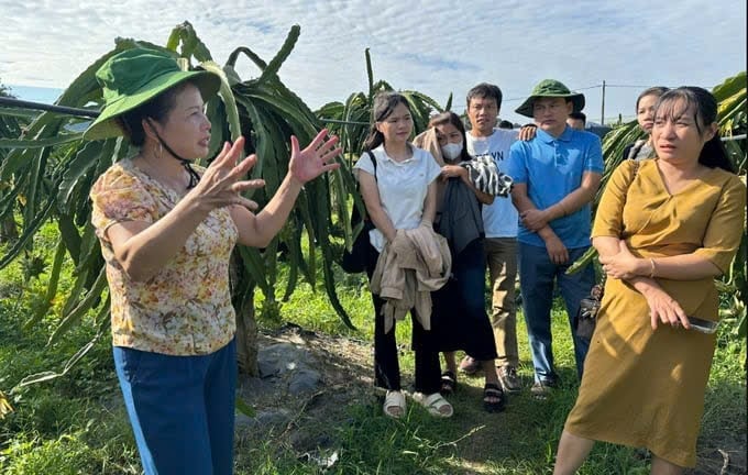 Rất nhiều đoàn đến học hỏi mô hình của HTX Ngọc Hoàng. Ảnh: Đức Bình. Rất nhiều đoàn đến học hỏi mô hình của HTX Ngọc Hoàng. Ảnh: Đức Bình.