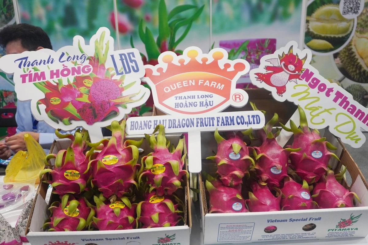 Nông sản Việt được thị trường Hoa Kỳ ưa chuộng. Ảnh: Nguyễn Thủy. Nông sản Việt được thị trường Hoa Kỳ ưa chuộng. Ảnh: Nguyễn Thủy.