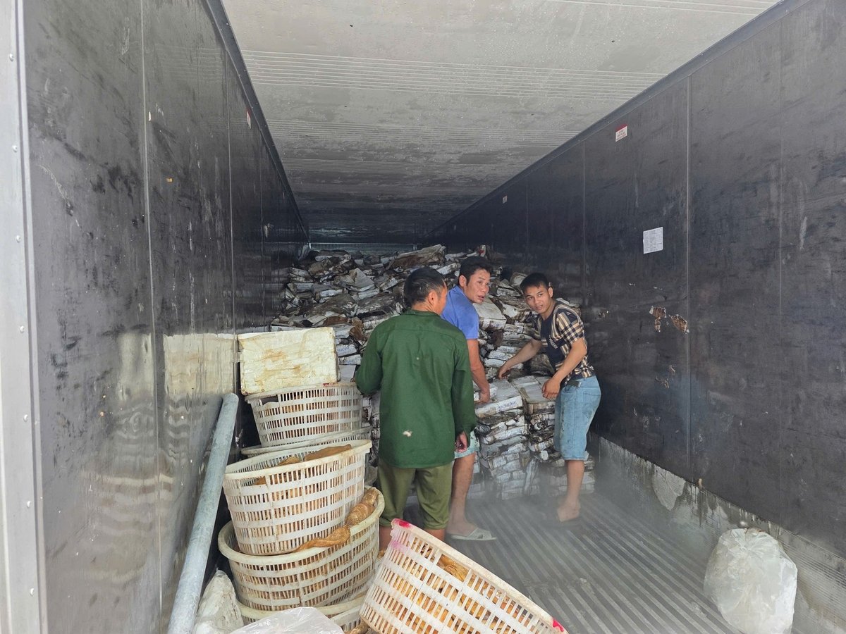 Hàng hóa được cất giấu trong các kho đông lạnh. Ảnh: Đội QLTT số 4. Hàng hóa được cất giấu trong các kho đông lạnh. Ảnh: Đội QLTT số 4.
