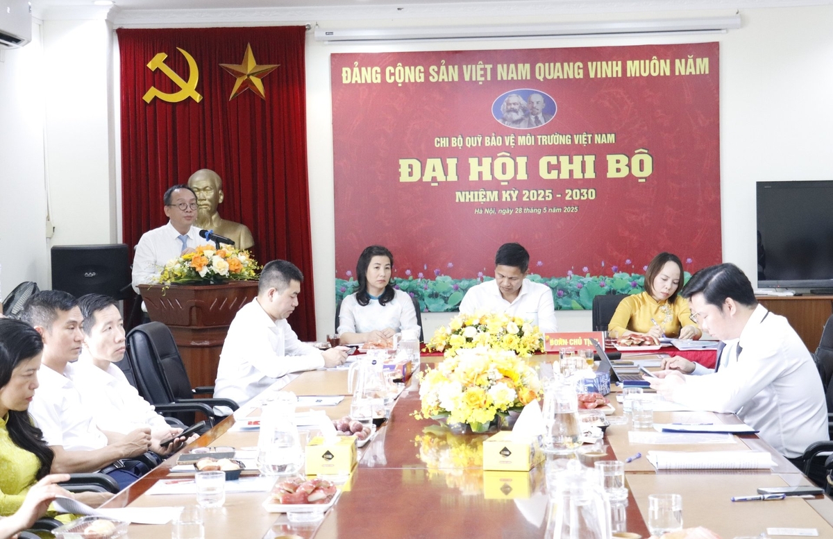 Đồng chí Ngô Hồng Giang, Phó Bí thư chuyên trách Đảng ủy Bộ Nông nghiệp và Môi trường (NN-MT), dự và chỉ đạo Đại hội. Tham dự Đại hội có đồng chí Nguyễn Quốc Toản, Chánh Văn phòng Đảng ủy Bộ; đồng chí Nguyễn Quang Huy, Phó Trưởng Ban Tổ chức Đảng ủy Bộ, cùng toàn thể đảng viên Chi bộ Quỹ Bảo vệ môi trường Việt Nam. Ảnh: Nguyễn Thủy. Đồng chí Ngô Hồng Giang, Phó Bí thư chuyên trách Đảng ủy Bộ Nông nghiệp và Môi trường (NN-MT), dự và chỉ đạo Đại hội. Tham dự Đại hội có đồng chí Nguyễn Quốc Toản, Chánh Văn phòng Đảng ủy Bộ; đồng chí Nguyễn Quang Huy, Phó Trưởng Ban Tổ chức Đảng ủy Bộ, cùng toàn thể đảng viên Chi bộ Quỹ Bảo vệ môi trường Việt Nam. Ảnh: Nguyễn Thủy.