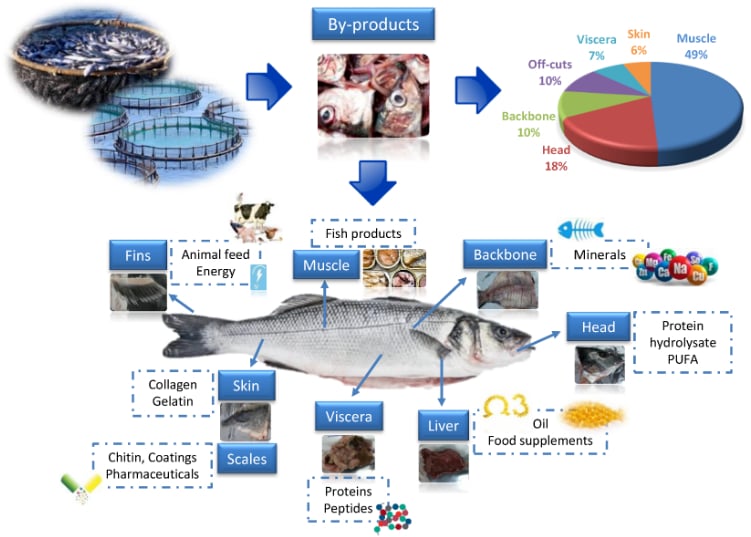 Fish processing not only produces main products but also utilizes by-products for high-value products serving the pharmaceutical, functional food, and cosmetics industries. Illustration photo.