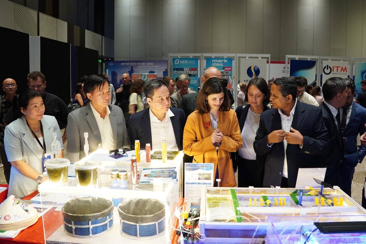 Nhà nghiên cứu CIRAD giới thiệu về các công nghệ đang được ứng dụng trong nuôi trồng thủy sản tại ĐBSCL - Việt Nam. Ảnh: Nguyễn Thủy. Nhà nghiên cứu CIRAD giới thiệu về các công nghệ đang được ứng dụng trong nuôi trồng thủy sản tại ĐBSCL - Việt Nam. Ảnh: Nguyễn Thủy.