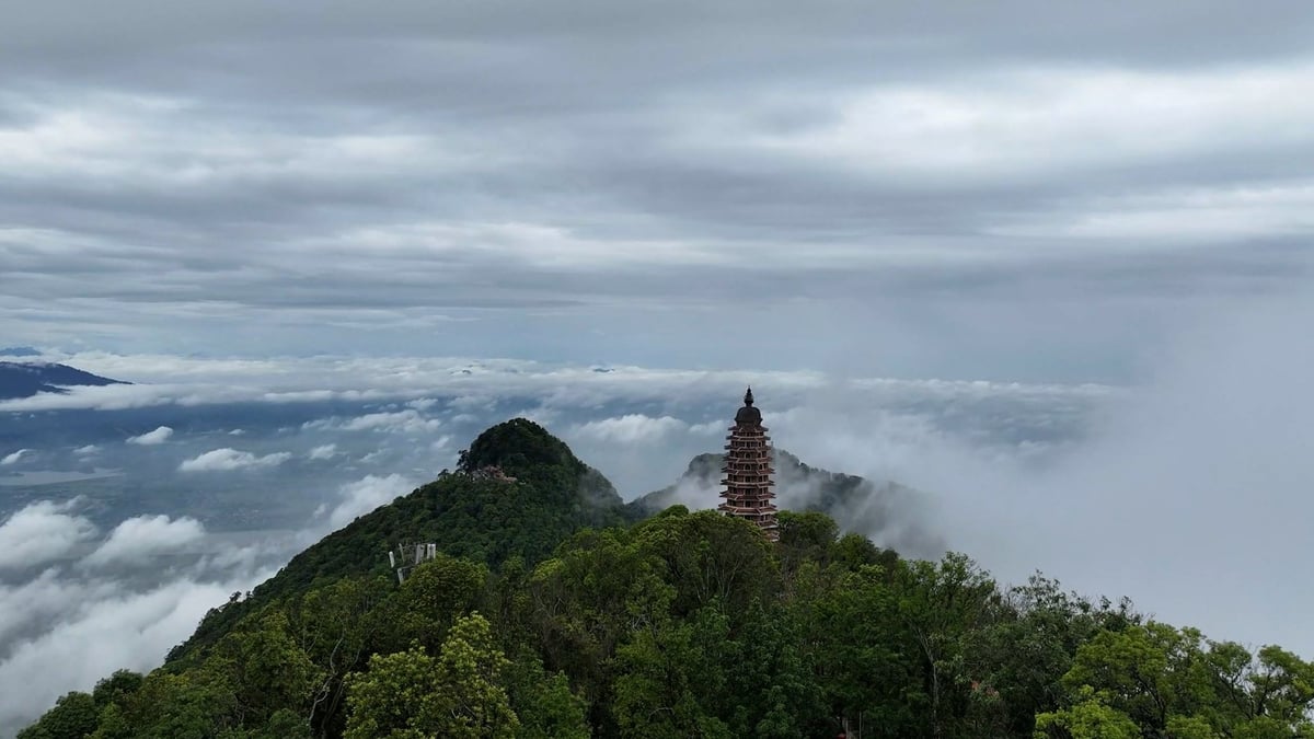 anh ba vi