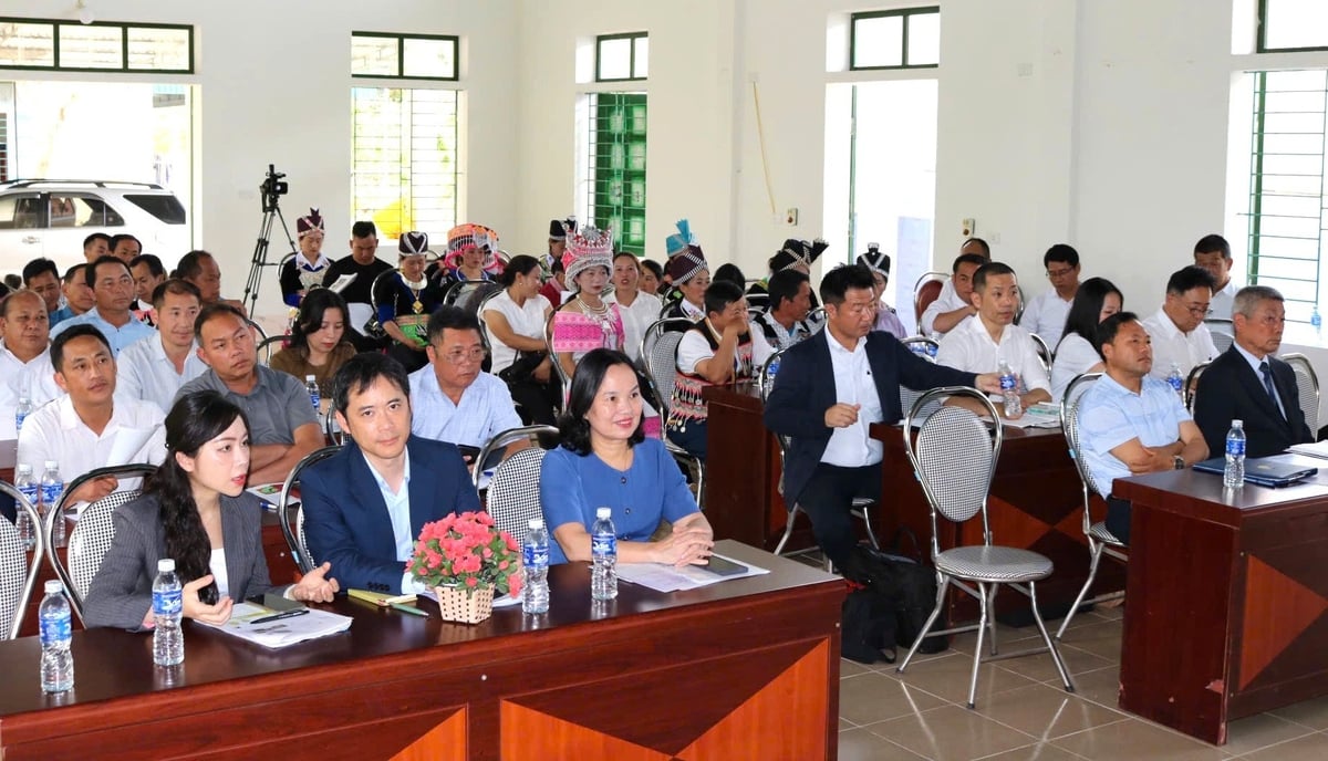Hội thảo 'Phổ biến kỹ thuật và thúc đẩy mở rộng diện tích trồng tỏi Sanuki' mang lại nhiều cơ hội cho đồng bào vùng cao Kỳ Sơn. Ảnh: Việt Khánh. Hội thảo 'Phổ biến kỹ thuật và thúc đẩy mở rộng diện tích trồng tỏi Sanuki' mang lại nhiều cơ hội cho đồng bào vùng cao Kỳ Sơn. Ảnh: Việt Khánh.