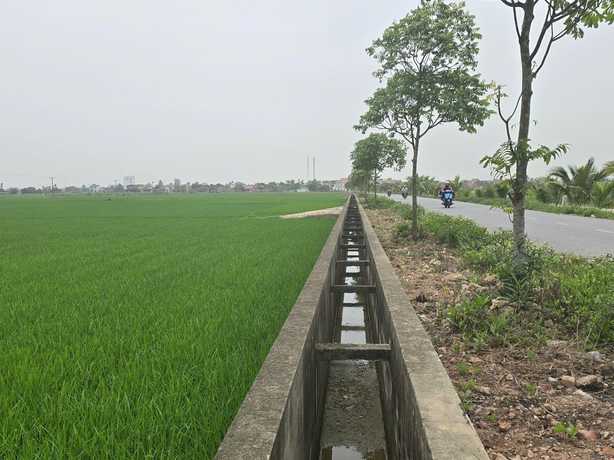Hệ thống thủy lợi nội đồng tại huyện Vĩnh Bảo được đầu tư nâng cấp, đảm bảo phục vụ tưới tiêu sản xuất nông nghiệp. Ảnh: Đinh Mười. Hệ thống thủy lợi nội đồng tại huyện Vĩnh Bảo được đầu tư nâng cấp, đảm bảo phục vụ tưới tiêu sản xuất nông nghiệp. Ảnh: Đinh Mười.