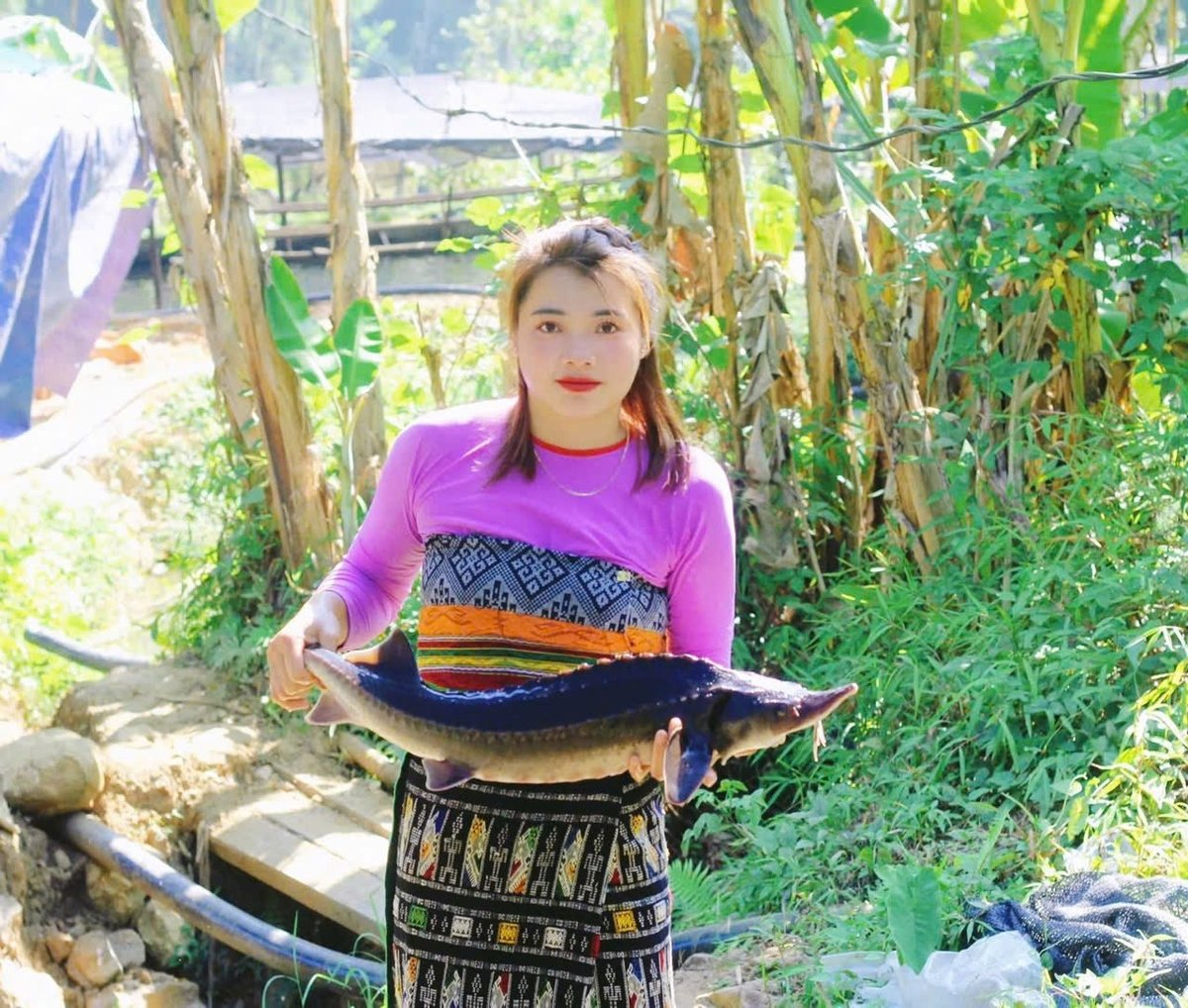 Cô gái dân tộc Mường bén duyên nghề nuôi cá tầm ở huyện nghèo Quan Sơn. Ảnh: Thanh Tâm Cô gái dân tộc Mường bén duyên nghề nuôi cá tầm ở huyện nghèo Quan Sơn. Ảnh: Thanh Tâm