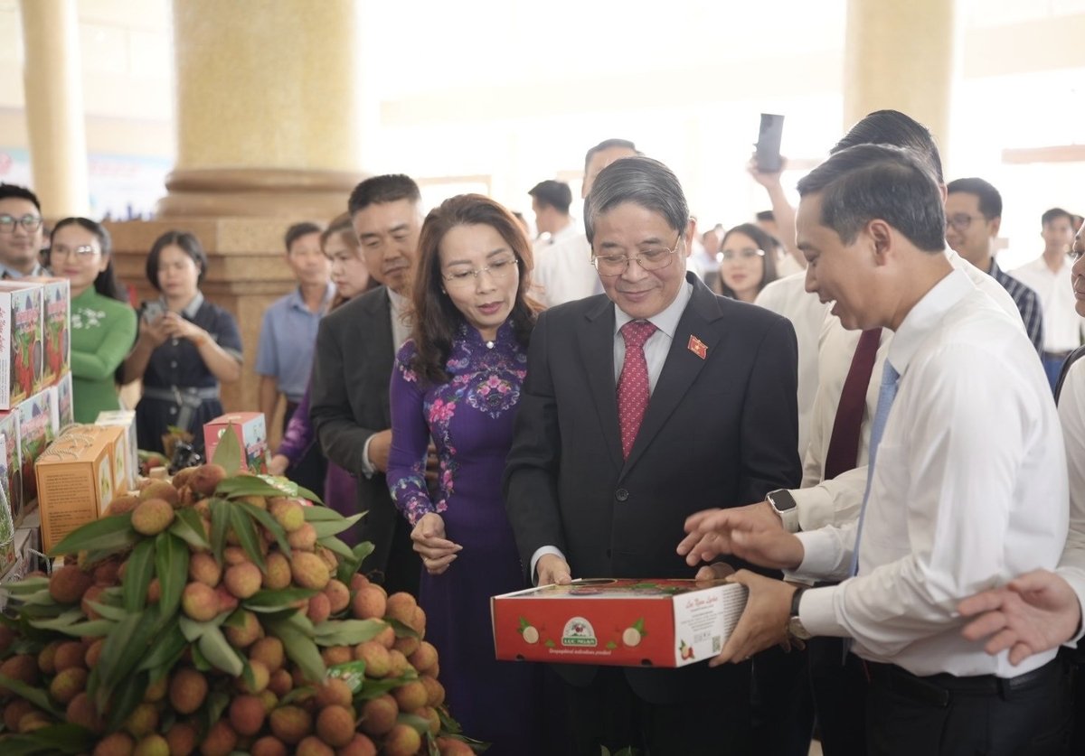 Phó Chủ tịch Quốc hội Nguyễn Đức Hải cùng lãnh đạo tỉnh Bắc Giang tham quan gian hàng sản phẩm OCOP của tỉnh Bắc Giang. Ảnh: Phạm Minh.